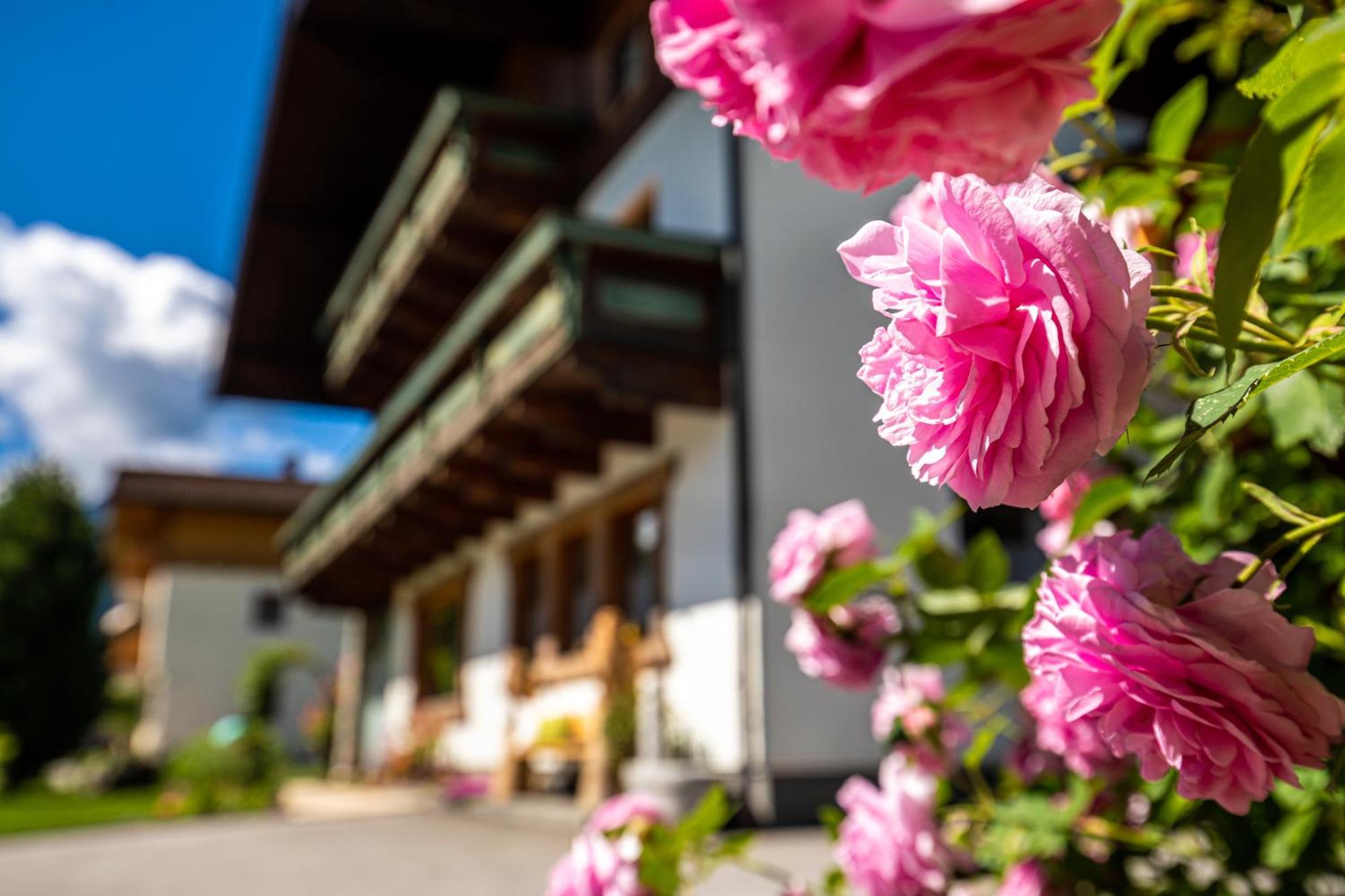 Holiday Im Gaestehaus Warter In Altenmarkt อัลเทนมาร์คท์ อิม พองเงา ภายนอก รูปภาพ