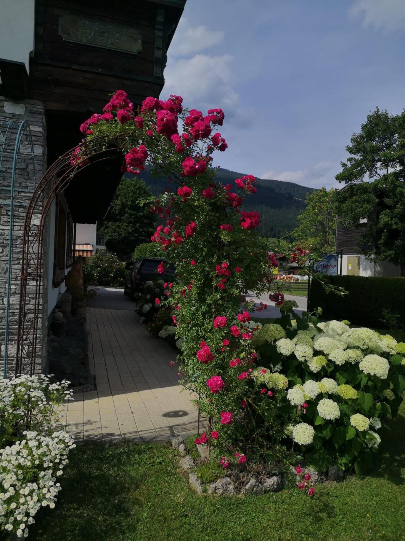 Holiday Im Gaestehaus Warter In Altenmarkt อัลเทนมาร์คท์ อิม พองเงา ภายนอก รูปภาพ